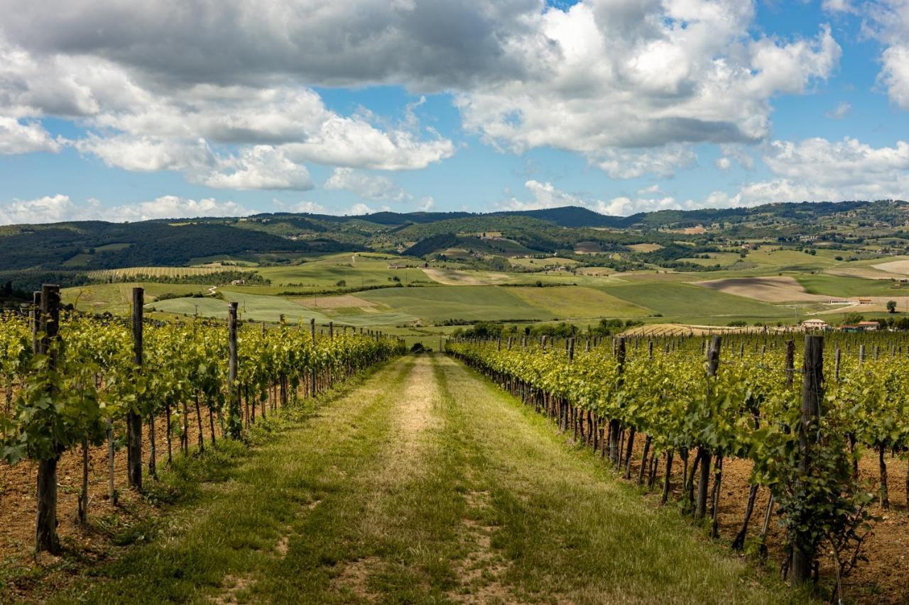 Sce Quiric Villa San Quirico d'Orcia Eksteriør billede